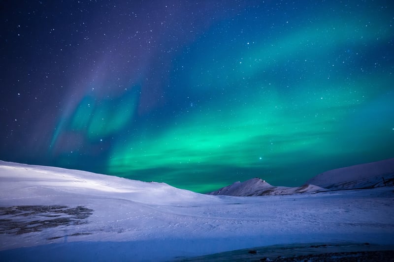 Aurora Adorations